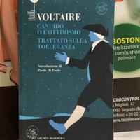 Voltaire 2 libri in 1