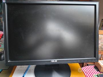 monitor Asus 19"