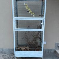 Gabbia/voliera per rettili o pappagalli