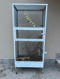 Gabbia/voliera per rettili o pappagalli