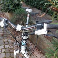 mount bike bottecchia