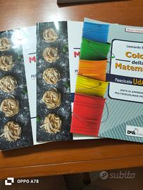 Colori della matematica 