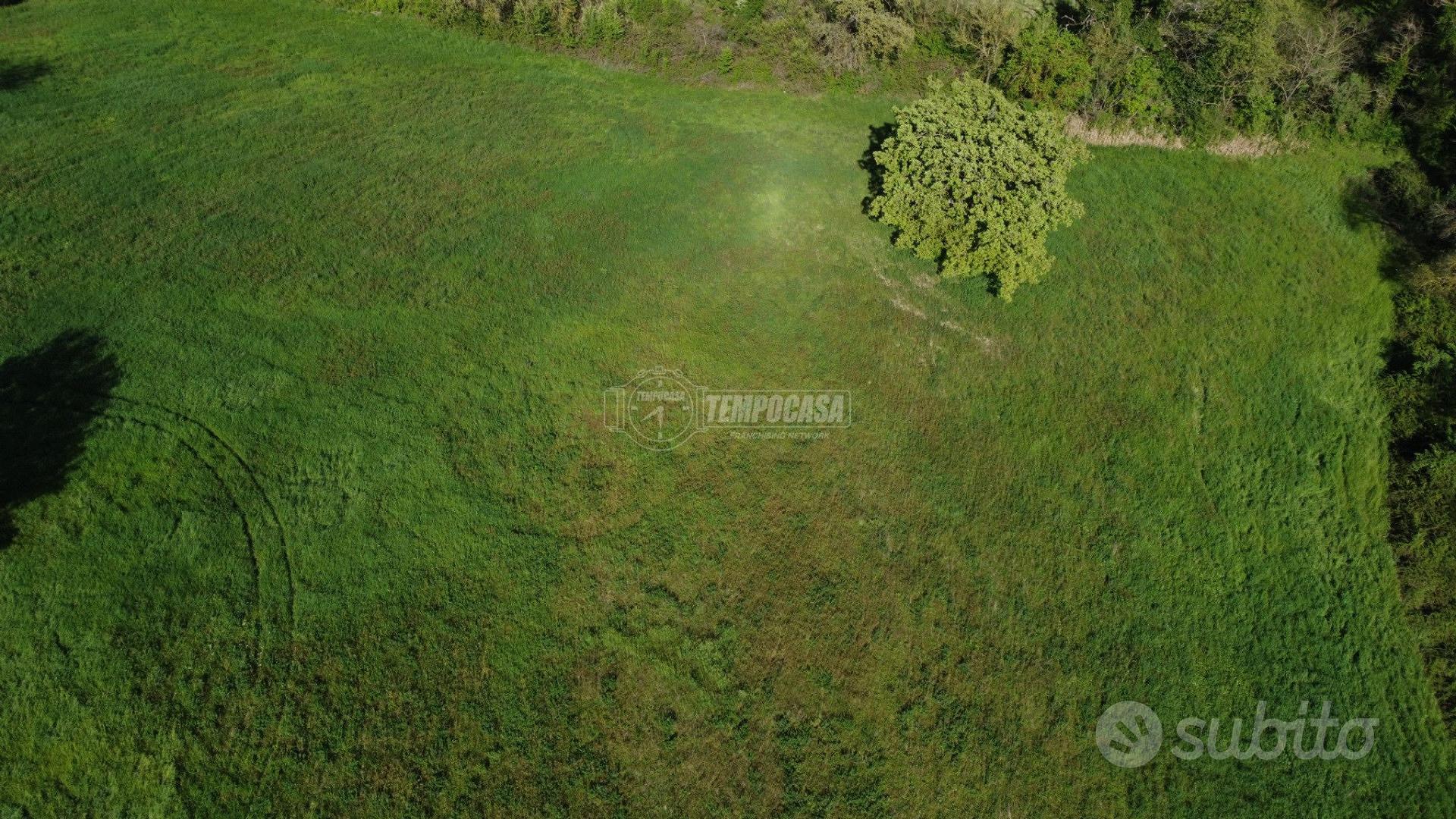 Terreno agricolo di 10 ettari seminativi - Vista 4