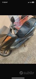 Majesty 250cc