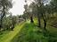Immagine 25