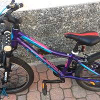 bicicletta da bimbo/bimba