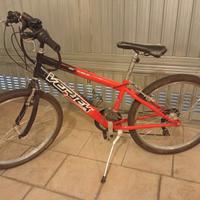 bicicletta Vertek 24"