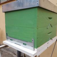 ARNIA Langstroth a 10 FAVI