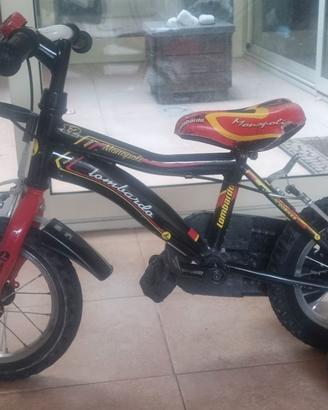 Bicicletta per bambini