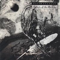 DAVID SYLVIAN - Secrets Of The Beehive (CD)
