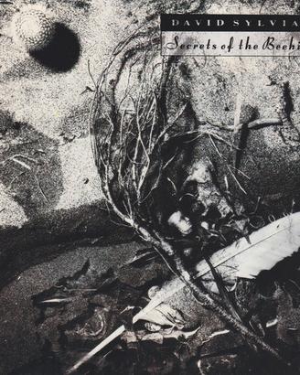 DAVID SYLVIAN - Secrets Of The Beehive (CD)