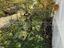 Immagine 13