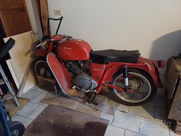 Moto Guzzi Lodola