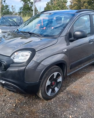 Fiat Panda Cross 1.0 FireFly S&S Hybrid gpl*