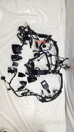 IMPIANTO CABLAGGIO ELETTRICO PER HONDA CBR 1000 RR