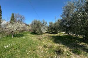 CASA SEMINDIPENDENTE A MONTECASTRILLI