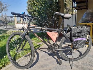 mountan bike specialized