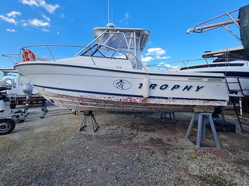 Barca Bayliner 2352 FV