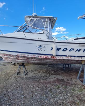 Barca Bayliner 2352 FV