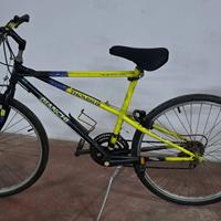 Bici Bianchi Thomisus Ragno