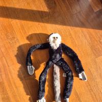 peluche Bambino