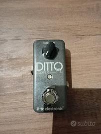 ditto loop 
