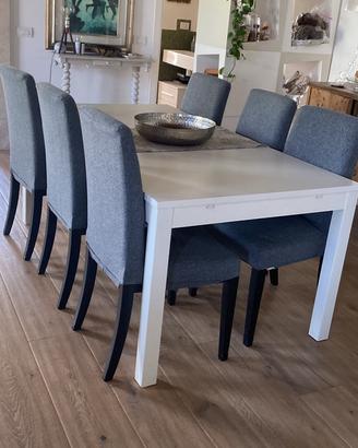 Sedie imbottite in legno