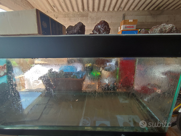 Acquario 230l o terrario