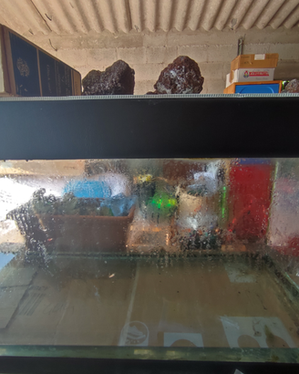 Acquario 230l o terrario