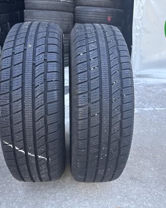gomme usate 1956515 All Seasons MINERVA - Fro - 79