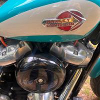 Harley soft tail 2023 super customizzata