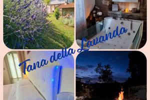 Splendida casa - 2 notti in Appennino