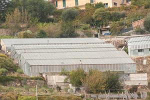 Terreno con serra in ferro