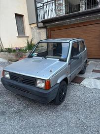 panda 1.1 College 