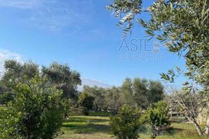 Terreno Agricolo Molfetta [A4347978]