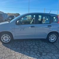Fiat Panda 1.2 Easy s&s 69cv my19 PREZZO REALE