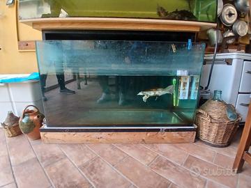 Acquari con tartarughe 