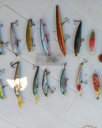 Pesca traina.