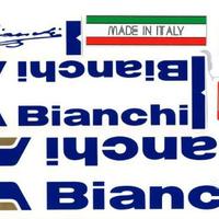 Serie completa adesivi per Bianchi Specialissima