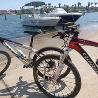 WILIER TRIESTINA 101 XC