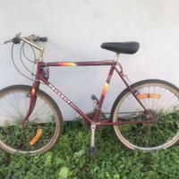 Bicicletta mountain bike Peugeot