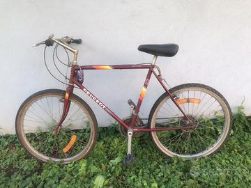 Bicicletta mountain bike Peugeot