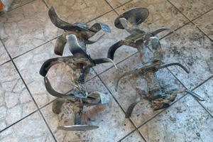 Fresa per motozappa e timone