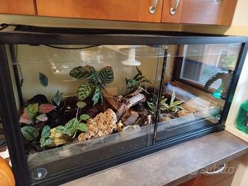 TERRARIO 