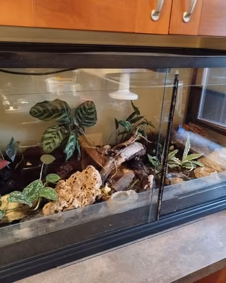TERRARIO 