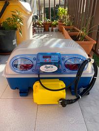 Noleggio incubatrice borotto