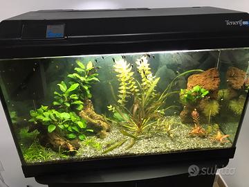 Acquario 150lt askoll tenerif