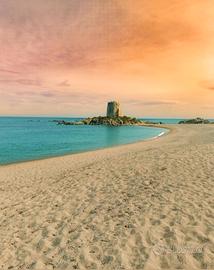 VACANZE IN DELLE SPIAGGE LIBERE DI TUTTI I GENERI