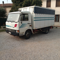 Camion trasporto animali vivi Iveco