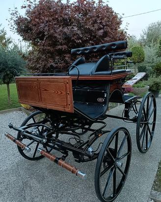 Carrozza spider